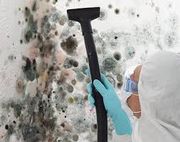 Best Real Estate Mold Inspection  in Mauston, WI